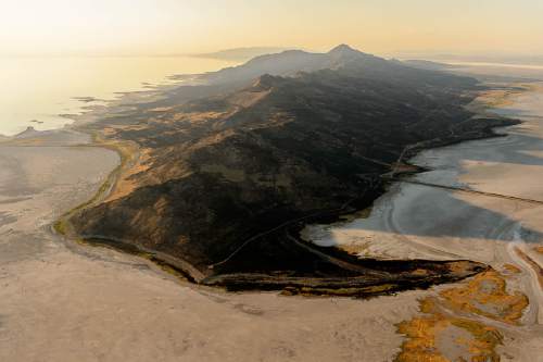 Trent Nelson  |  The Salt Lake Tribune
An aerial view of Antelope Island, showing the scope of the damage caused by a fire that burned up much of the island.
Wednesday July 27, 2016, Axiom Aviation.