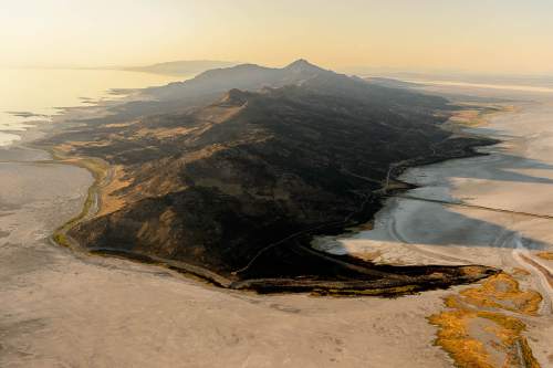 Trent Nelson  |  The Salt Lake Tribune
An aerial view of Antelope Island, showing the scope of the damage caused by a fire that burned up much of the island.
Wednesday July 27, 2016, Axiom Aviation.