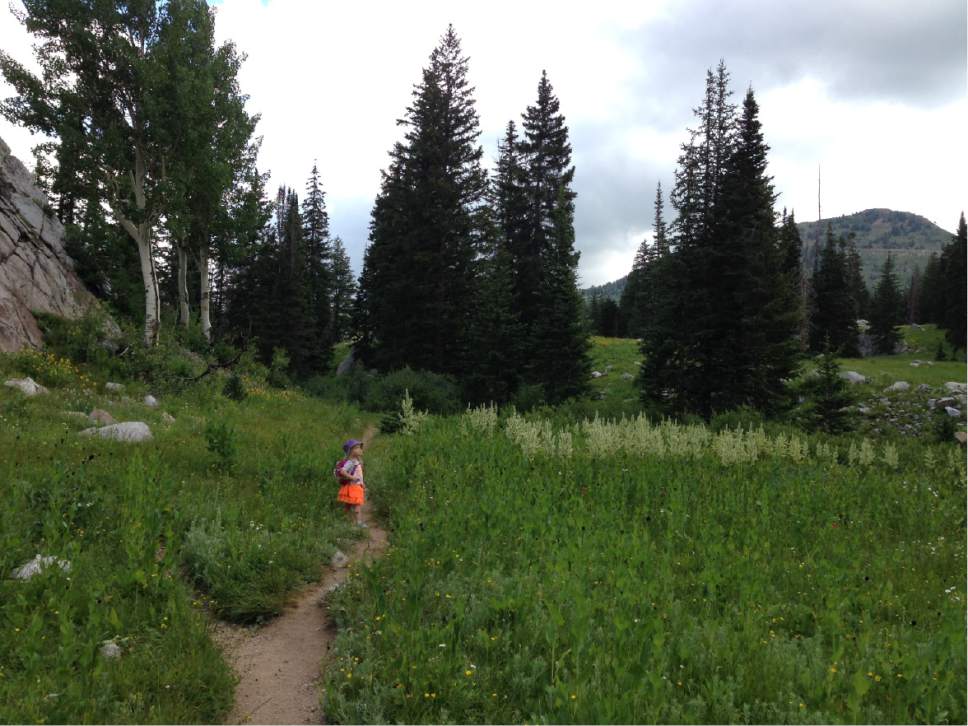 Erin Alberty  |  The Salt Lake Tribune

The final steps of the trail to Dog Lake cut through a lush meadow above Brighton.