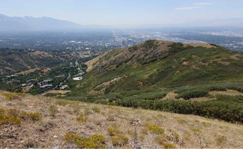 Lennie Mahler  |  The Salt Lake Tribune

A view of the Salt Lake Valley from the "Hell Canyon" area, located north of Ensign Peak. It is included in Salt Lake City's purchase of about 305 acres of open land near City Creek Canyon, announced today by Mayor Jackie Biskupski. Thursday, July 28, 2016.