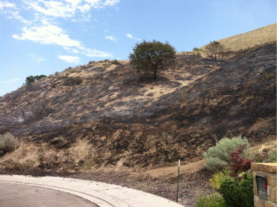 Courtney Tanner | The Salt Lake Tribune

A fire that threatened homes near Draper was quickly contained Aug. 3, 2016.