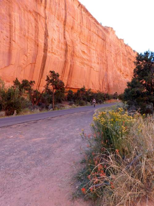 Erin Alberty  |  The Salt Lake Tribune

Cyclists approach Singing Canyon on the majestic Burr Trail Road in Grand Staircase-Escalante National Monument.