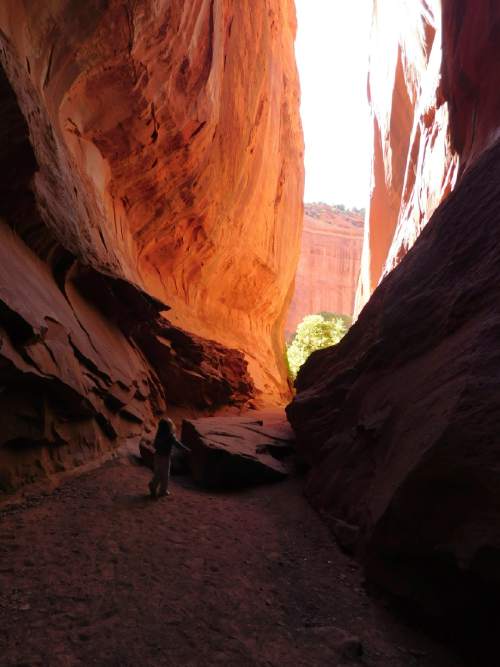 Erin Alberty  |  The Salt Lake Tribune

The walls of Singing Canyon are so high that the interior can be a shady retreat on a hot, sunny day in the desert.