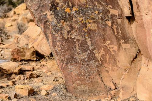 Trent Nelson  |  The Salt Lake Tribune
Petroglyphs at First Site in Nine Mile Canyon, Tuesday January 19, 2016.