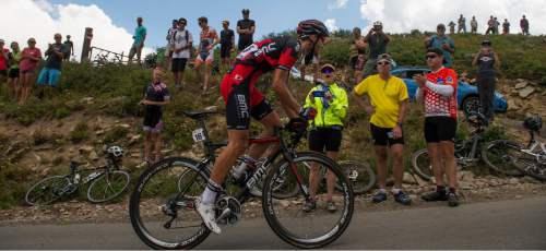 Leah Hogsten  |  The Salt Lake Tribune
Fans and enthusiasts cheer on the peloton as it climbs Guardsman's Pass during Stage 6 of the Tour of Utah on Saturday, August 6, 2016 that took cyclists on a 114-mile ride with over 11,000 feet of climbing from Snowbasin Ski Resort to Snowbird.