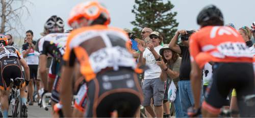 Leah Hogsten  |  The Salt Lake Tribune
Fans and enthusiasts cheer on the peloton as it climbs Guardsman's Pass during Stage 6 of the Tour of Utah on Saturday, August 6, 2016 that took cyclists on a 114-mile ride with over 11,000 feet of climbing from Snowbasin Ski Resort to Snowbird.
