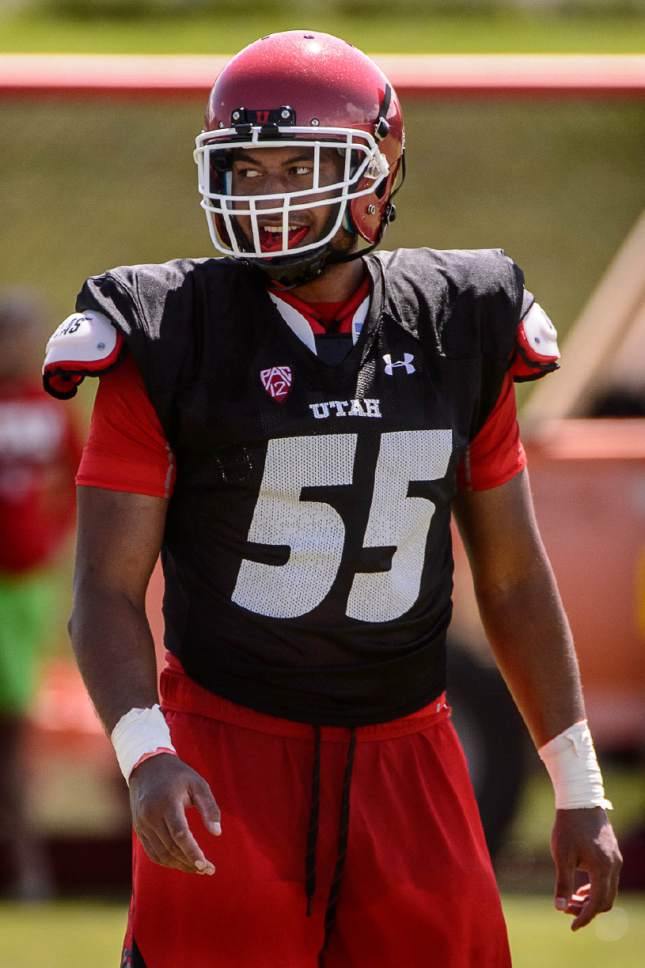 Trent Nelson  |  The Salt Lake Tribune
Utah's Kavika Luafatasaga at football practice in Salt Lake City, Saturday August 6, 2016. Junior college linebacker Luafatasaga made for the biggest story on Signing Day, joining the Utes in the last minute. But his career wasn't built in a day: From the Pacific Northwest, to Hawaii, to Arizona, Luafatasaga's moment in the spotlight has been a long time coming.