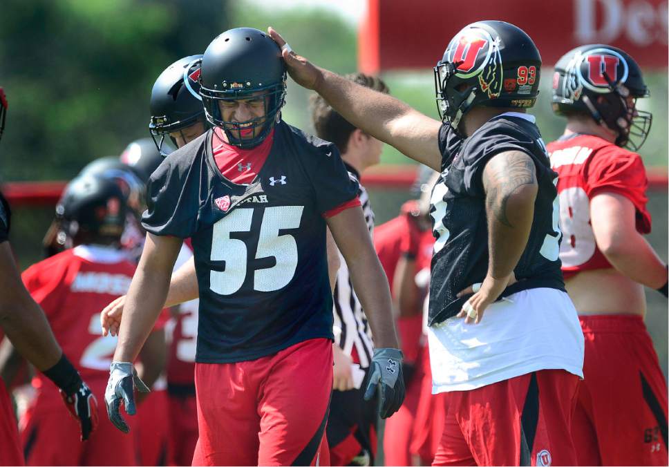 Scott Sommerdorf   |  The Salt Lake Tribune  
Utah LB Kavika Luafatasaga gets congratulations after recovering a fumble during practice, Thursday, August 4, 2016.