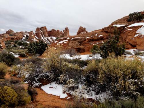 Erin Alberty  |  The Salt Lake Tribune

Snow mingles with golden Rabbitbrush and blackish-green juniper near the Devils Garden campground Nov. 29, 2015 at Arches National Park.