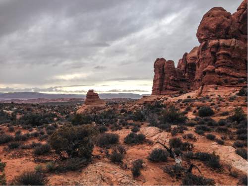 Erin Alberty  |  The Salt Lake Tribune

Sunlight emerges under a steely sky Nov. 29, 2015 near the road to Delicate Arch in Arches National Park.