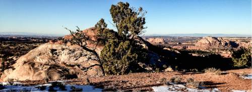 Erin Alberty  |  The Salt Lake Tribune

Juniper and slickrock dot the landscape Dec. 1, 2015 near Lower Aztec Butte in Canyonlands National Park.