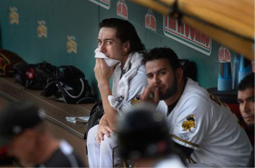 Scott Sommerdorf   |  The Salt Lake Tribune  
Former San Francisco Giants and Los Angeles Angels pitcher Tim Lincecum sits in the dugout during the Bees' first inning at-bat as he makes his first start in Salt Lake for the Salt Lake Bees, Monday, August 15, 2016.