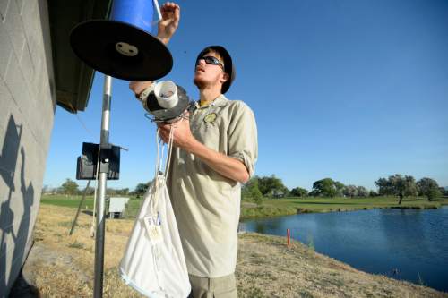 Al Hartmann  |  The Salt Lake Tribune 
Tyler Gilvarry, a research intern collects a misquito trap at Glendale Golf Course  in Salt Lake City Tuesday Aug. 16.  It is a general misquito trap that uses CO2 to attract misquitos.  It is not the specific trap used to trap the Aedes Aegypti, the Zika carrying misquito.  The Salt Lake City Mosquito Abatement District does not have enough of Aedes Aegytpti traps to effectively cover their whole jurisdiction.
