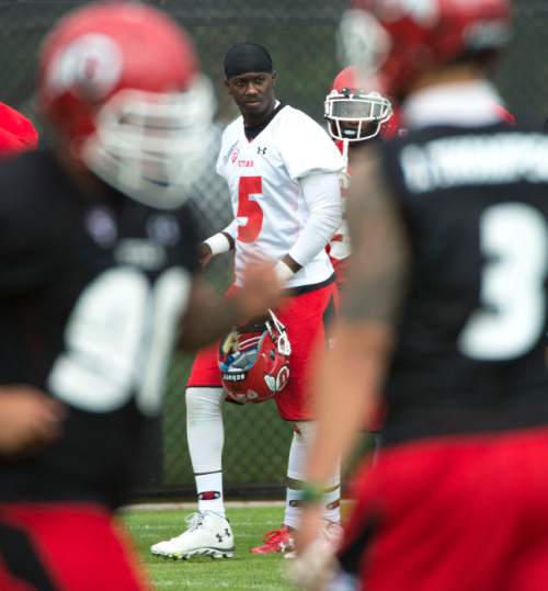 Steve Griffin  |  The Salt Lake Tribune


University of Utah quarterback Brandon Cox watches as quarterback Travis Wilson runs the offense during second day of the teams fall camp at the University of Utah baseball field  in Salt Lake City, Friday, August 7, 2015.