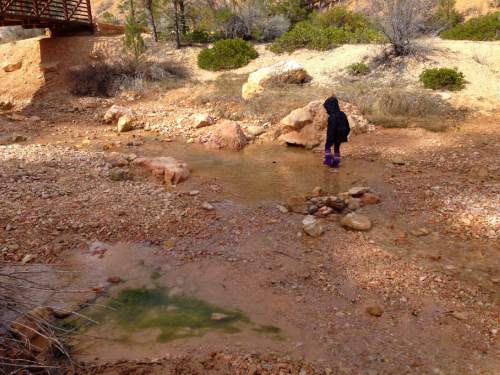 Erin Alberty  |  The Salt Lake Tribune

A young hiker takes her galoshes into the stream in Water Canyon, near the trail to Mossy Cave on March 31, 2016 in Bryce Canyon National Park.