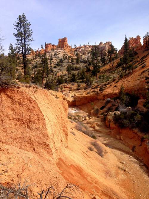 Erin Alberty  |  The Salt Lake Tribune

Hoodoos rise above the site of a waterfall, only a trickle in early spring, near the trail to Mossy Cave on March 31, 2016 in Bryce Canyon National Park.