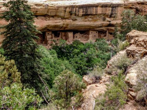 Erin Alberty  |  The Salt Lake Tribune

The Spruce Tree House cliff dwelling is closed to visitors but remains visible near the Chapin Mesa Archeological Museum on June 10, 2016 at Mesa Verde National Park.