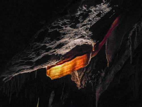 Erin Alberty | The Salt Lake Tribune

A mineral formation known as "cave bacon" clings to the ceiling of Lehman Cave on July 24, 2016 in Great Basin National Park.