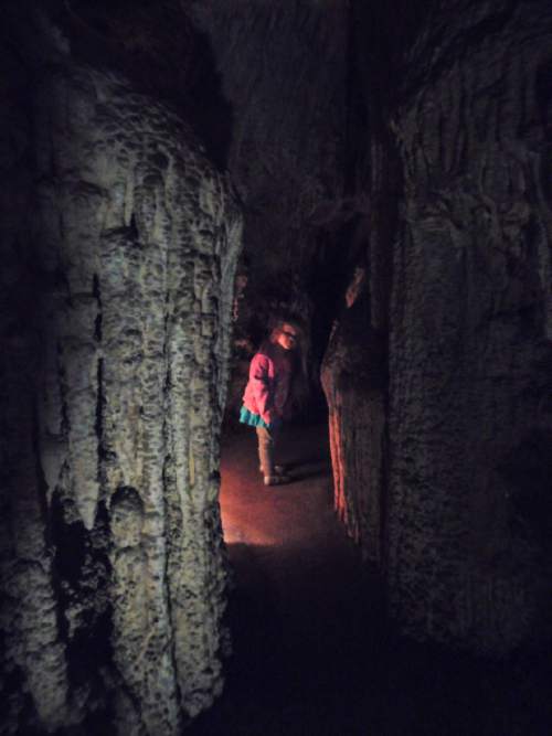 Erin Alberty | The Salt Lake Tribune

The author's daughter explores Lehman Cave on July 24, 2016 in Great Basin National Park.