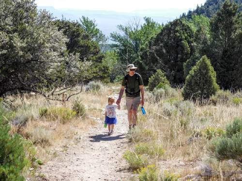 Erin Alberty | The Salt Lake Tribune

The author's husband and daughter walk on the Lehman Creek Trail on July 23, 2016 in Great Basin National Park.