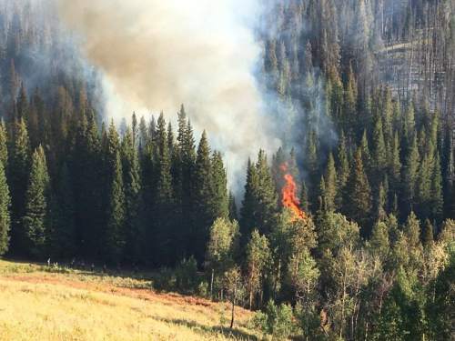 Peterson Hollow Fire grows, other Utah wildfires have slowed - The Salt ...