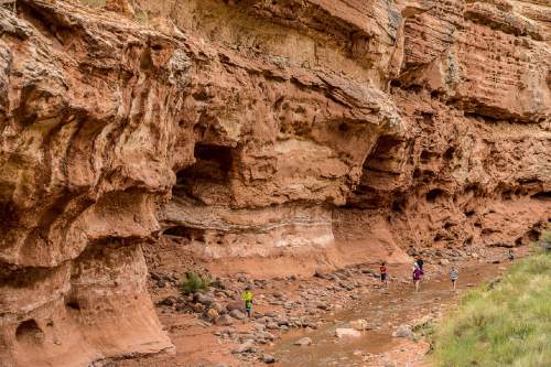 Trent Nelson  |  The Salt Lake Tribune
Hikers on the Sulphur Creek trail, a 5-mile slot canyon hike in Capitol Reef National Park, Saturday August 1, 2015.