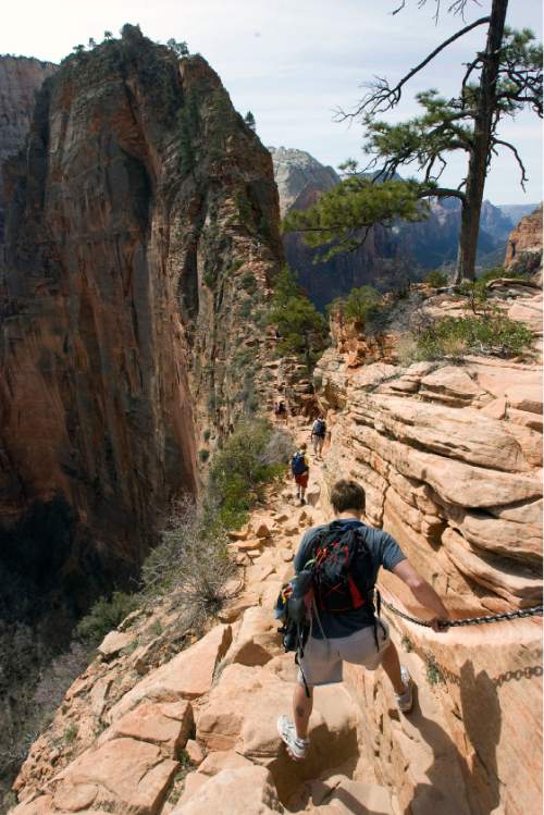Al Hartmann  |  Tribune file photo 
Hikers carefully make their way up a section of the Angels Landing Trail in Zion National Park in March 2009. The trail offers one of the premier hikes in the park, taking visitors along a steep rock spine that climbs to a magnificent view of the Virgin River and Zion Canyon below. But the hike is not for those who fear heights.  An anchor chain is embedded in the rock in steep places along the trail for hikers to grab onto for safety.