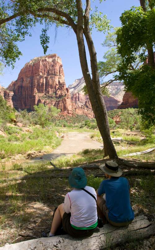Al Hartmann  |  The Salt Lake Tribune
Hikers take in the green valley floor and Virgin RIver with surrounding sandstone formations in Zion National Park.