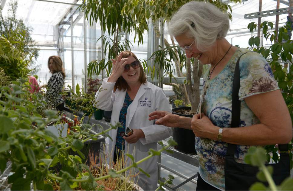 Leah Hogsten  |  The Salt Lake Tribune
Sonya Welsh, (left) botany lab and greenhouse manager giggles with visitors who get stuck to "Sundew", a sticky plant that lives in the southeast United States. Visitors tour the Public Observatory of Tracy Hall Science Center on the campus of Weber State University after the completion of the Science Center for scientific, mathematical and engineering learning and research, Wednesday, August 24, 2016.