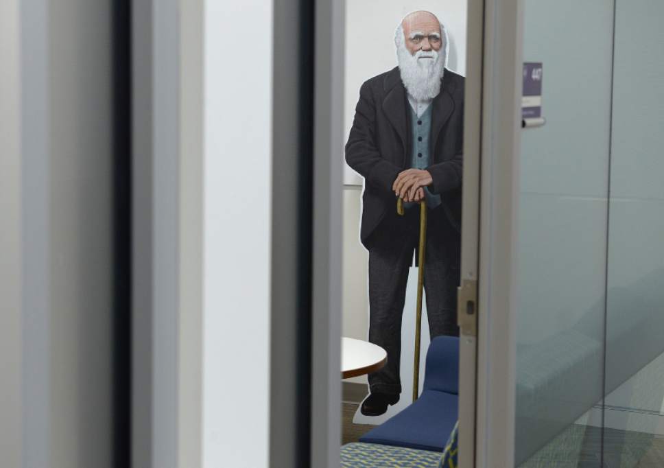 Leah Hogsten  |  The Salt Lake Tribune
A cardboard replica of Charles Darwin peers out from one of the student study rooms. Visitors tour the Public Observatory of Tracy Hall Science Center on the campus of Weber State University after the completion of the Science Center for scientific, mathematical and engineering learning and research, Wednesday, August 24, 2016.