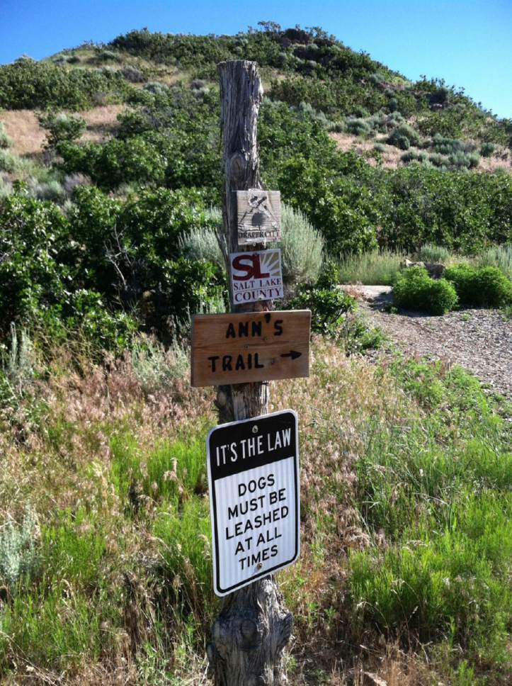 Nate Carlisle  |  The Salt Lake Tribune

Ann's Trail in Draper, as seen on June 20, 2016, by starting at the Potato Hill Trailhead, is a two-hour hike that includes some shade and views of the southern Salt Lake Valley.