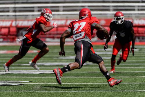 Trent Nelson  |  The Salt Lake Tribune
Utah's Marcel Manalo runs the ball during Utah's second fall scrimmage at Rice-Eccles Stadium in Salt Lake City, Tuesday August 16, 2016.