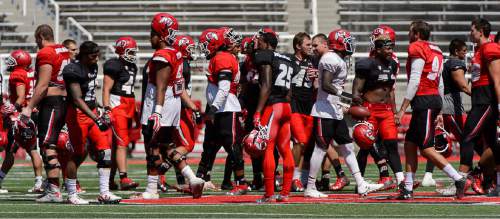 Trent Nelson  |  The Salt Lake Tribune
Utah football players gather after Utah's second fall scrimmage at Rice-Eccles Stadium in Salt Lake City, Tuesday August 16, 2016.