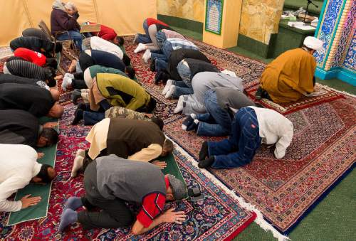 Trent Nelson  |  The Salt Lake Tribune
Men pray at the Alrasool Islamic Center in Taylorsville on Saturday, January 10, 2015, as Shia Muslims celebrate the Prophet Muhammad's birthday.