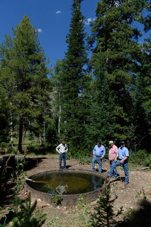 Francisco Kjolseth | The Salt Lake Tribune
Matt Preston, BLM's Salt Lake field office manager, ranchers Dale Lamborn and Alvin Shaul along with Taylor Payne, Randolph based program manager for the Grazing Improvement Program run by the Utah Department of Agriculture and Food, from left, visit a cattle water trough made out of giant tires. Rich County ranchers are proposing to consolidate several grazing allotments in the Three Creeks area in the Bear River mountains just west of Randolph.