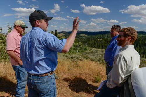 Francisco Kjolseth | The Salt Lake Tribune
Taylor Payne, second from left, is joined by ranchers and Matt Preston, at right, BLM's Salt Lake field officer as they take a tour of an area being proposed to consolidate several grazing allotments in the Three Creeks area in the Bear River mountains just west of Randolph. The ranchers would pool their cattle and rotate them through pastures in ways the BLM and Forest Service say will be better for the land while also increasing productivity.