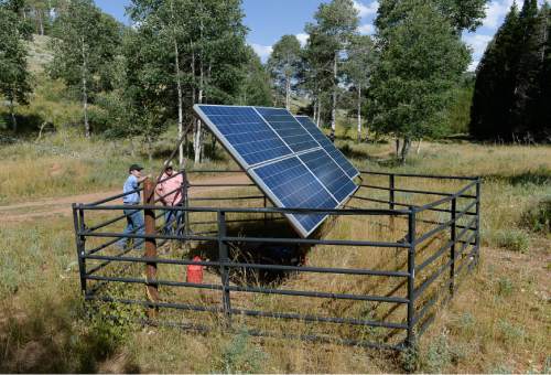 Francisco Kjolseth | The Salt Lake Tribune
Solar panels provide some of the power needed to move water around for cattle in an area where Rich County ranchers are proposing to consolidate several grazing allotments in the Three Creeks area in the Bear River mountains just west of Randolph. The ranchers would pool their cattle and rotate them through pastures in ways the BLM and Forest Service say will be better for the land while also increasing productivity.