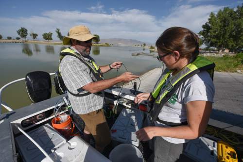 Francisco Kjolseth | The Salt Lake Tribune
Bryan Downing, a research hydrologist and hydro tech Katy O'Donnell, prepare for a U.S. Geological Survey experimental study on Utah lake on Wednesday, Aug. 10, 2016, to gain a better understanding of nutrient levels, which could help in understanding how to best manage algal bloom outbreaks. The pilot project is using new technology to measure the distribution, occurrence, and concentration of nutrients in in both Utah Lake and Gilbert Bay of the Great Salt Lake.