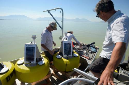 Al Hartmann  |  The Salt Lake Tribune
Environmental scientists with Utah Division of Water Quality prepare one of three solar buoys housing probes called sondes into Utah Lake Monday August 29.  The sondes or sensors should be able to monitor lake conditions to give a warning when nutrients are building up to the point that they'll have another massive algal bloom like the one in July.