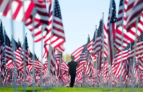 Rick Egan  |  The Salt Lake Tribune

James Colsen, 16, Sandy, walks thoughthe flags in the Healing Field, south of Sandy City Hall at 10000 South Centennial Parkway Sandy City.  The Healing Field display contains more than 3,000 American flags in remembrance of the lives lost in the Sept. 11, 2001, terrorist attacks. Friday, September 9, 2016.