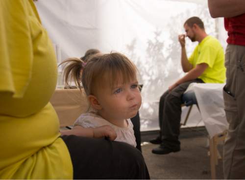 Leah Hogsten  |  The Salt Lake Tribune
Elliah Kinville, 2, sits on her pregnant mother's lap as her father Jason Kinville, a Army Airborne veteran, gets a health screening. The homeless family was given information on prenatal care and Kinville was assigned a primary care physician at the Utah VA Hospital.   Homeless veterans receive a wide array of services ranging from health screenings to information on transitional housing to employment services, September 10, 2016 at the Homeless Veteran Stand Down at the Gallivan Center.