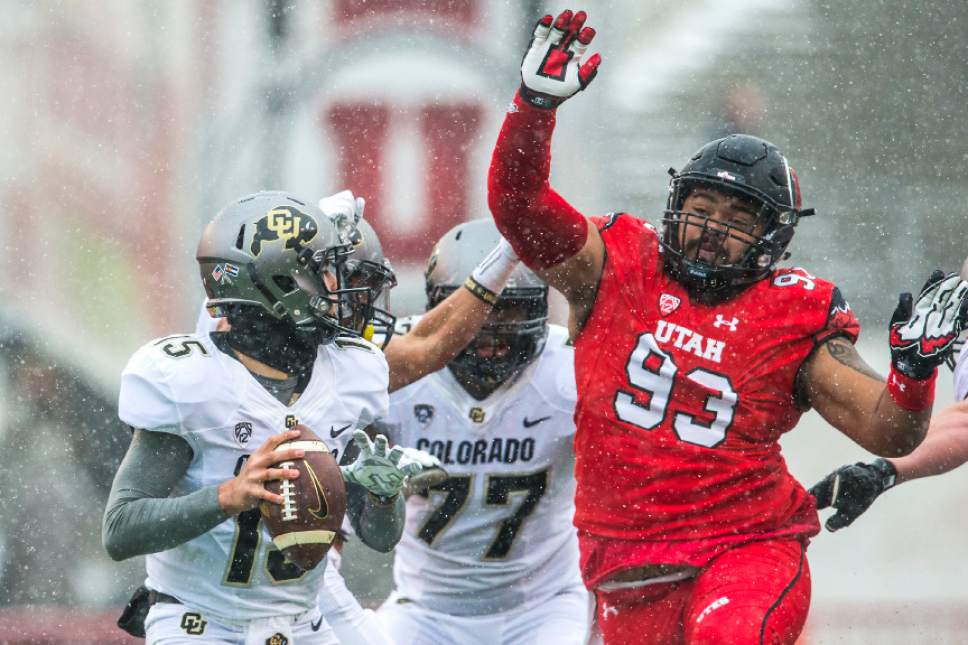 Chris Detrick  |  The Salt Lake Tribune
Utah Utes defensive tackle Lowell Lotulelei (93) puts pressure on Colorado Buffaloes quarterback Cade Apsay (15) during the game at Rice-Eccles Stadium Saturday November 28, 2015.  Utah is winning the game 10-7 at halftime.