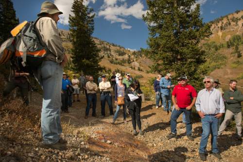 Leah Hogsten  |  The Salt Lake Tribune
Mark Allen, the founder of Protect and Preserve American Fork Canyon led a tour of American Fork canyon's old mining district, September 13, 2016 and the remains of the Live Yankee mine located in Mary Ellen Gulch.  Water discharge from the Live Yankee mine has contaminated the stream bed and filled Tibble Fork reservoir with sediments rich in heavy metals, including arsenic and lead.