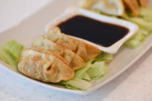 Francisco Kjolseth | The Salt Lake Tribune
Sasa Kitchen, a new Chinese restaurant at 2095 E. 1300 South, in Salt Lake City, serves authentic Chinese cuisine, but it also offers a few dishes for the less adventuresome, such as traditional pot stickers.