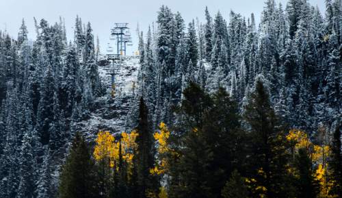 Steve Griffin / The Salt Lake Tribune


A fresh dusting of snow covers the upper ski runs at Snowbird in Little Cottonwood Canyon merging fall and winter as the fall colors glow in the sun after a storm whipped across the Wasatch Front. Friday September 23, 2016.