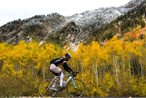 Steve Griffin / The Salt Lake Tribune


Derek Dixon of West Jordan powers his way up Little Cottonwood Canyon as a fresh dusting of snow covers the mountain tops merging fall and winter as the fall colors remain after a storm whipped across the Wasatch Front. Friday September 23, 2016.