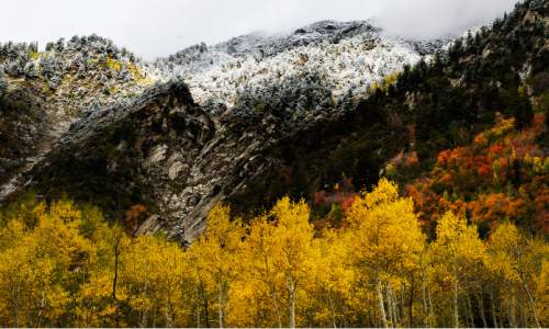 Steve Griffin / The Salt Lake Tribune


A fresh dusting of snow covers the mountain tops in Little Cottonwood Canyon merging fall and winter as the fall colors remain after a storm whipped across the Wasatch Front. Friday September 23, 2016.