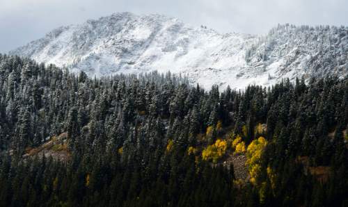 Steve Griffin / The Salt Lake Tribune


A fresh dusting of snow covers the mountain tops in Little Cottonwood Canyon merging fall and winter as the fall colors glow in the sun after a storm whipped across the Wasatch Front. Friday September 23, 2016.