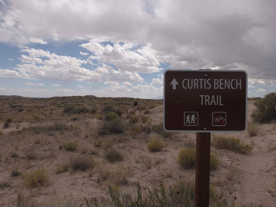 Nate Carlisle  |  The Salt Lake Tribune

A sign marks the Curtis Bench Trail in Goblin Valley State Park on Sept. 11, 2016.