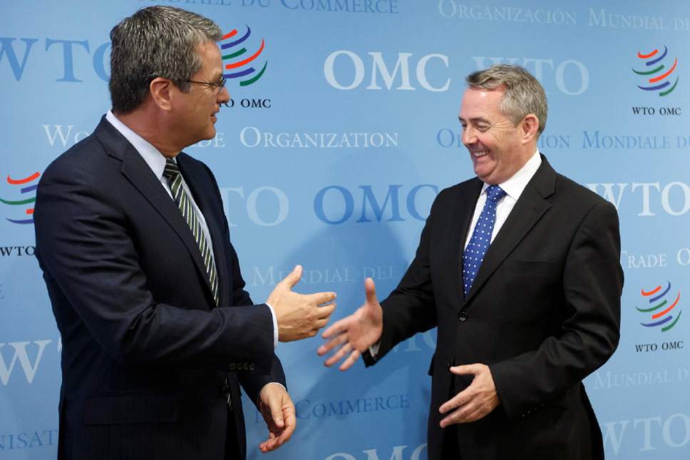 rhetorical analysis of the world tradeorganization Hello, i need help with the following analysis of the world trade organization (wto) in your analysis, include the following: - explain its role in promoting international trade. rhetorical analysis of the world tradeorganization Hello, i need help with the following analysis of the world trade organization (wto) in your analysis, include the following: - explain its role in promoting international trade.